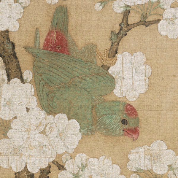 T2152 Pear Blossom and Parrot - Giclee Fine Art Print - ARTasia.co